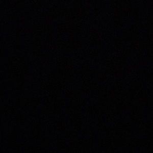 Meet your Posher, Bridget